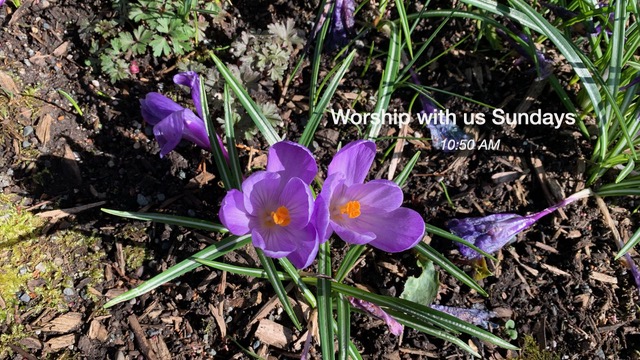 Worship with us Sunday